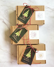 Load image into Gallery viewer, Soap + Lip Balm Gift Set