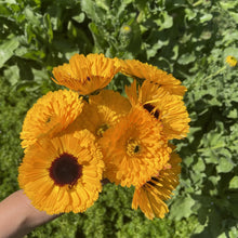 Load image into Gallery viewer, Calendula, Oat + Bergamot Soap Bar
